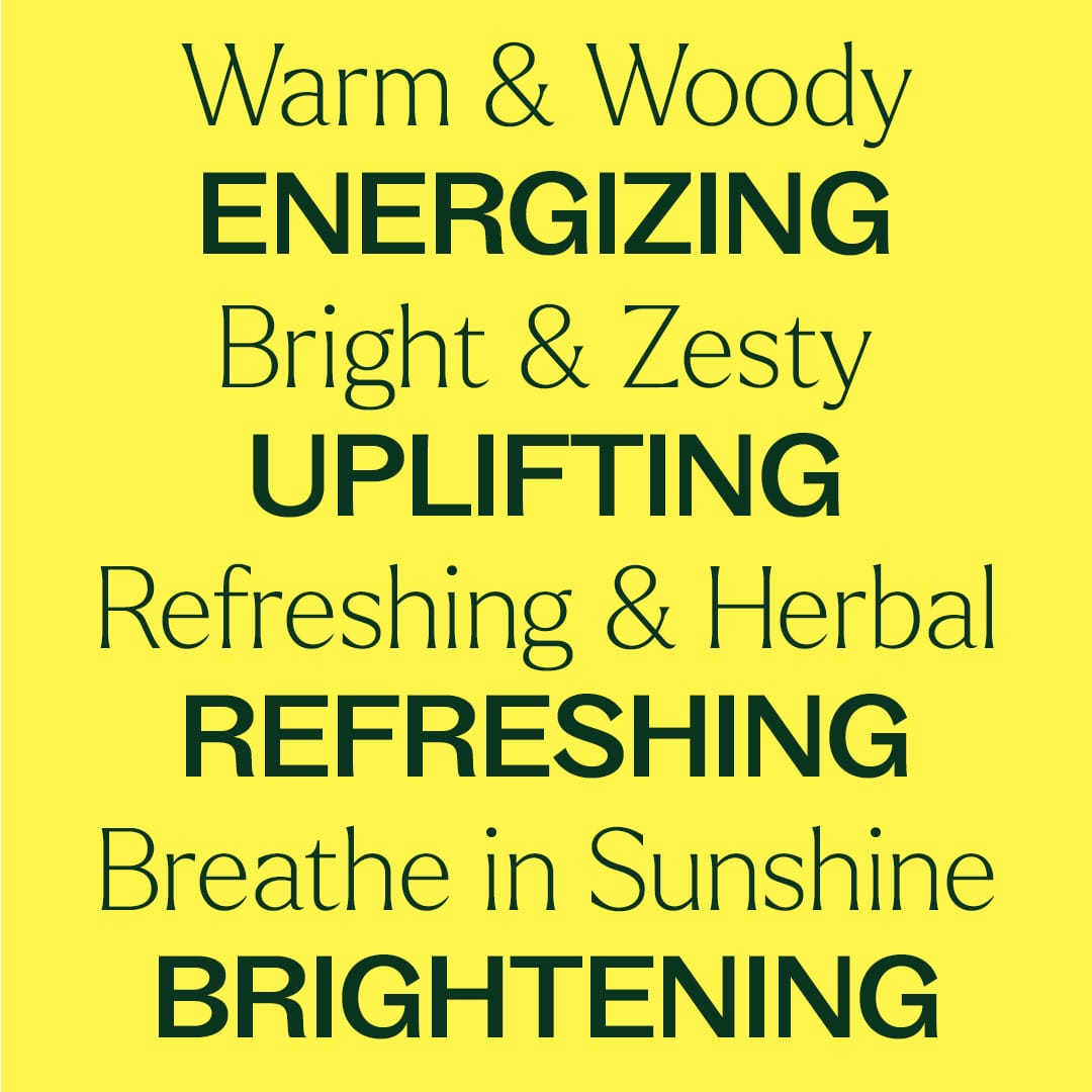 Chasing Sunshine Essential Oil Blend Set from Plant Therapy