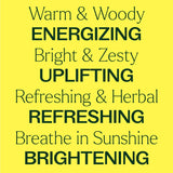 Chasing Sunshine Essential Oil Blend Set from Plant Therapy