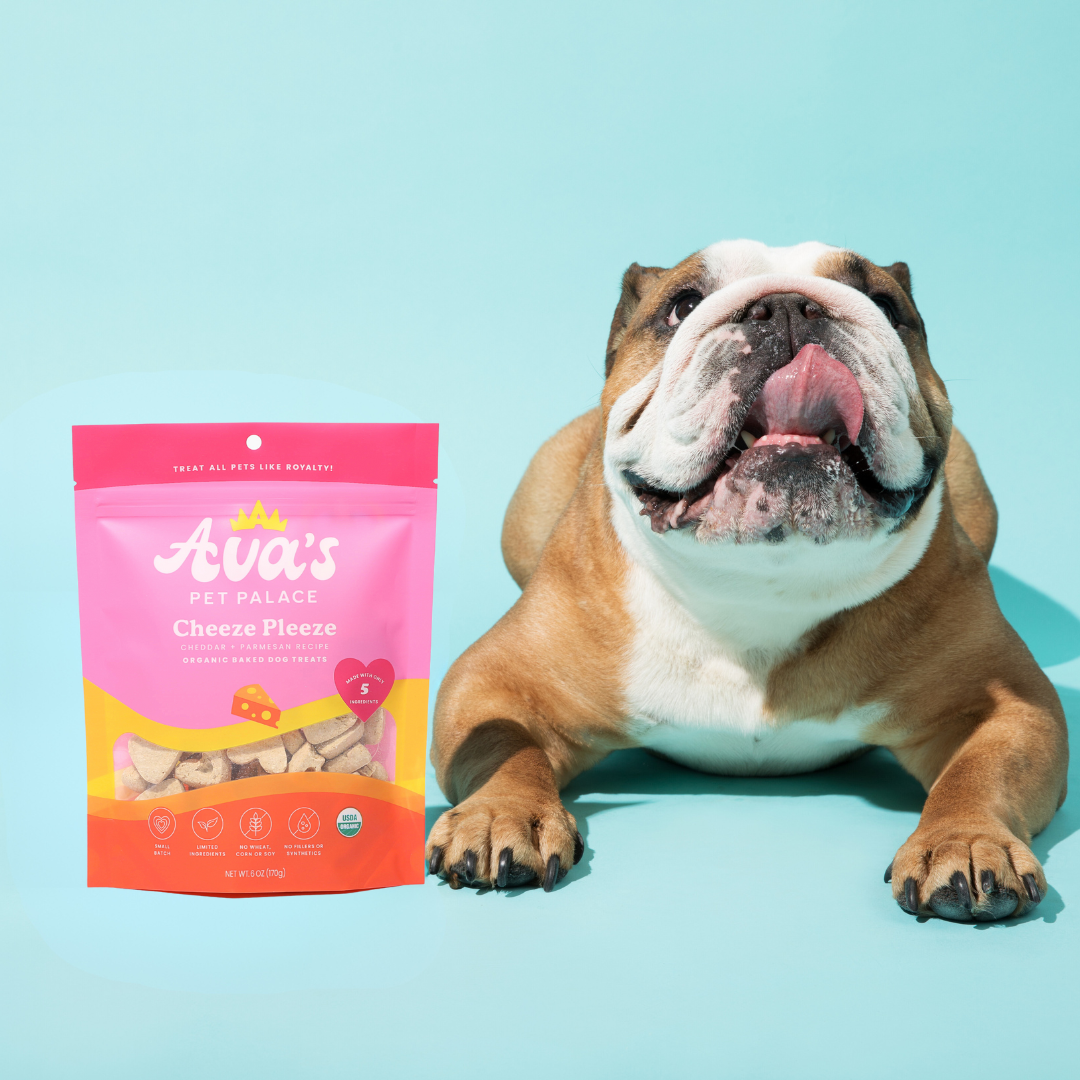 Organic Baked Dog Treats - Cheeze Pleeze from Ava's Pet Palace