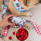 Frenchie Poo Bag Holder - Cherries Blue from Frenchie Bulldog