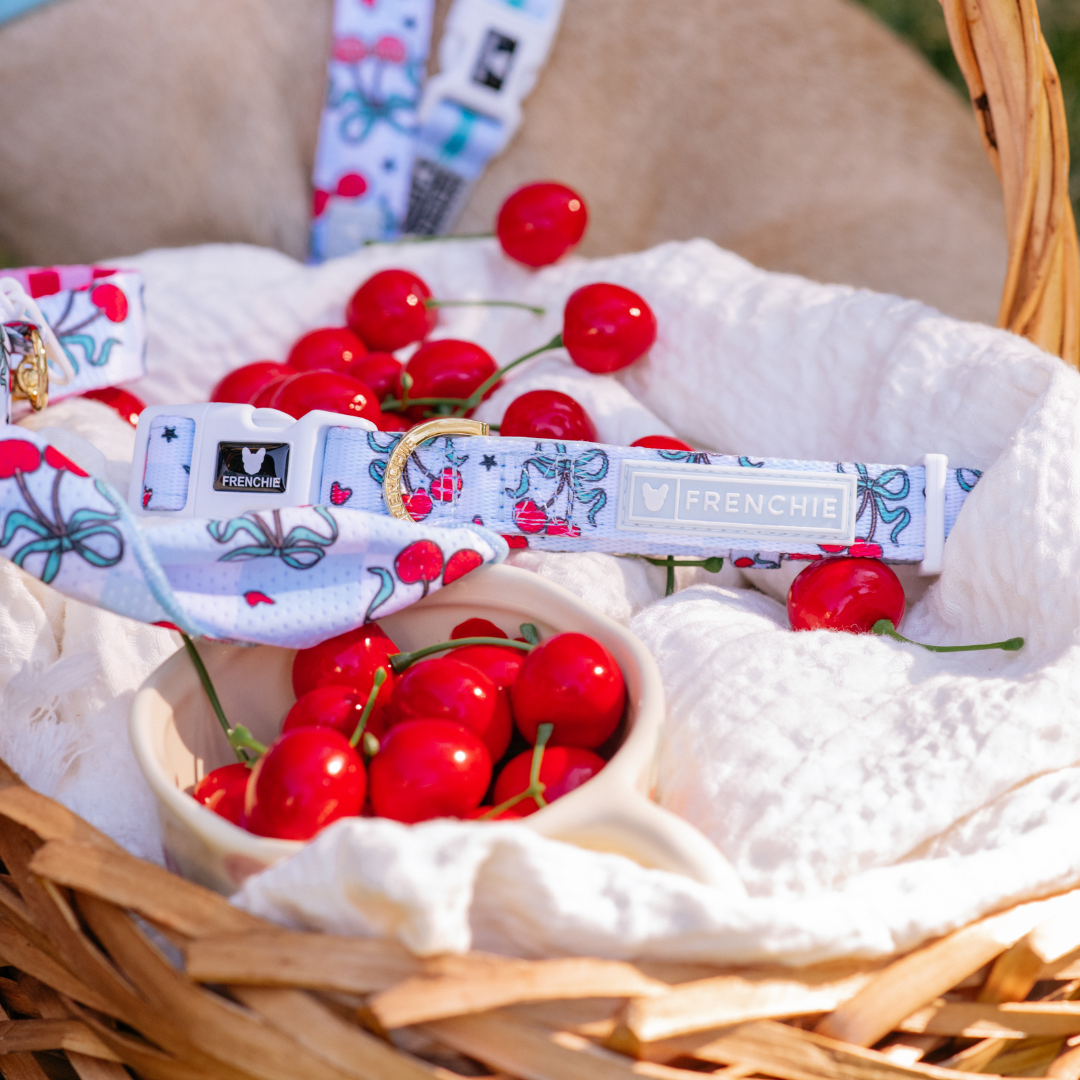 Frenchie Comfort Collar - Cherries Blue from Frenchie Bulldog
