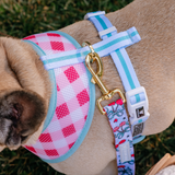 Frenchie Duo Reversible Harness - Cherries Blue from Frenchie Bulldog