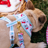Frenchie Duo Reversible Harness - Cherries Blue from Frenchie Bulldog