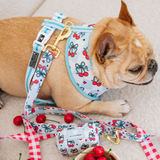 Frenchie Duo Reversible Harness - Cherries Blue from Frenchie Bulldog