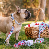 Frenchie Comfort Collar - Cherries Blue from Frenchie Bulldog