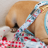 Frenchie Comfort Leash - Cherries Blue from Frenchie Bulldog