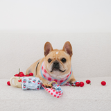 Frenchie Poo Bag Holder - Cherries Blue from Frenchie Bulldog