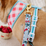 Frenchie Duo Reversible Harness - Cherries Blue from Frenchie Bulldog