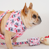 Frenchie Cooling Bandana - Cherries Red from Frenchie Bulldog