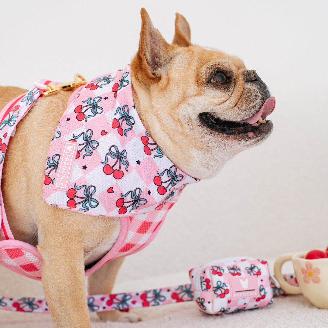 Frenchie Cooling Bandana - Cherries Red from Frenchie Bulldog