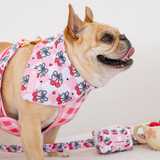 Frenchie Cooling Bandana - Cherries Red from Frenchie Bulldog