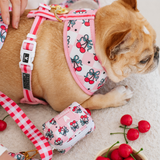 Frenchie Poo Bag Holder - Cherries Red from Frenchie Bulldog