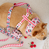 Frenchie Poo Bag Holder - Cherries Red from Frenchie Bulldog