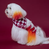 Frenchie Cooling Bandana - Ruby from Frenchie Bulldog