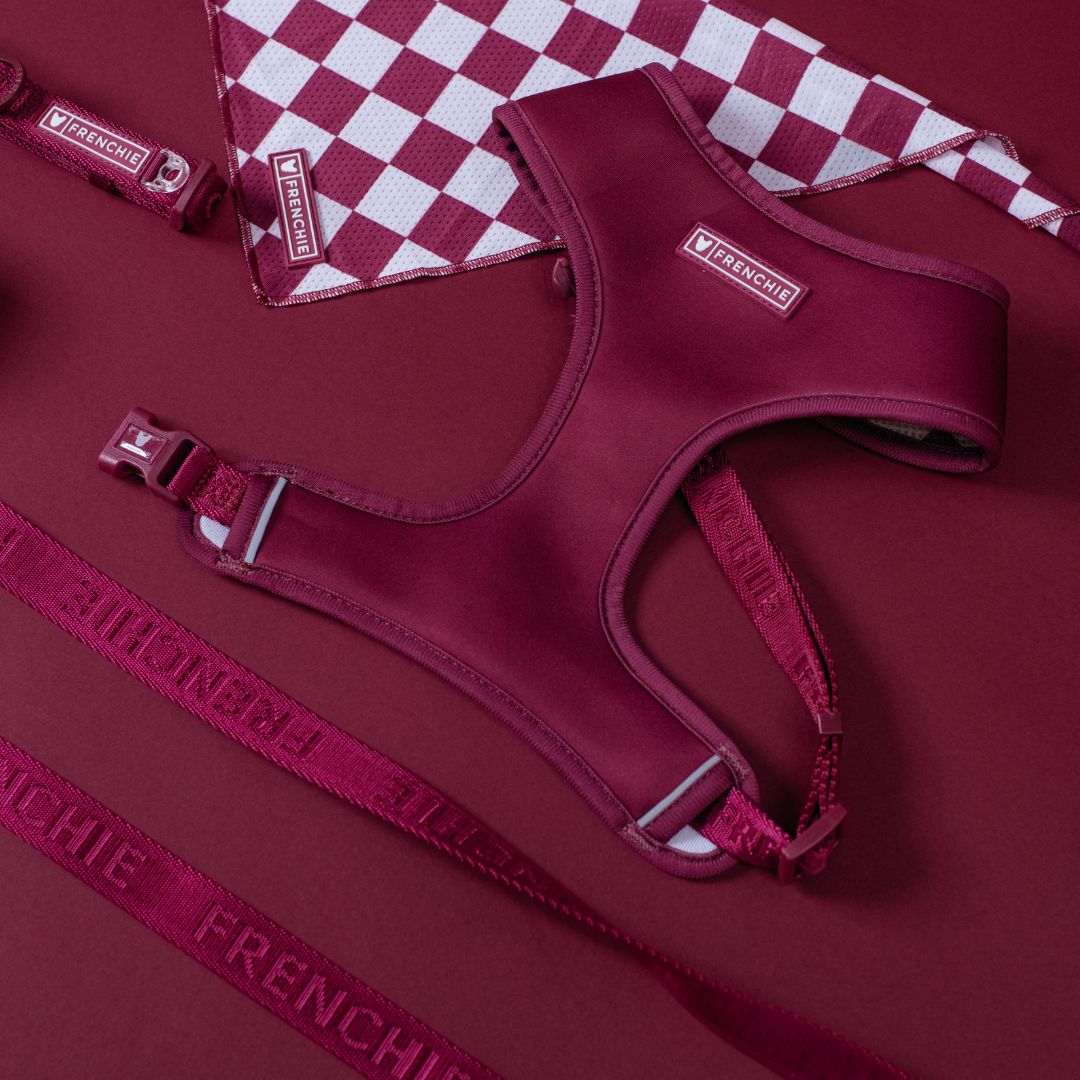 Frenchie Cooling Bandana - Ruby from Frenchie Bulldog