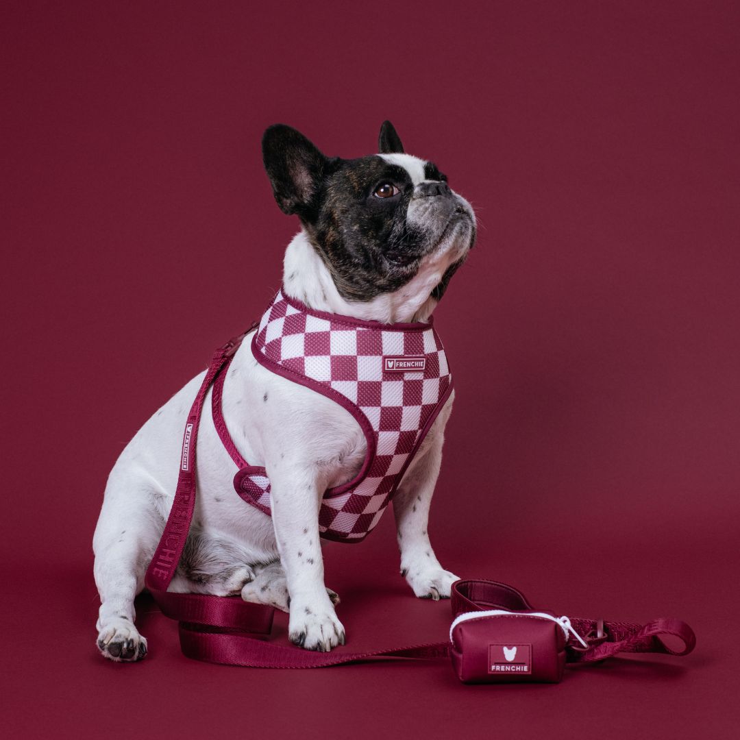 Frenchie Duo Reversible Harness - Ruby from Frenchie Bulldog