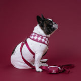Frenchie Duo Reversible Harness - Ruby from Frenchie Bulldog