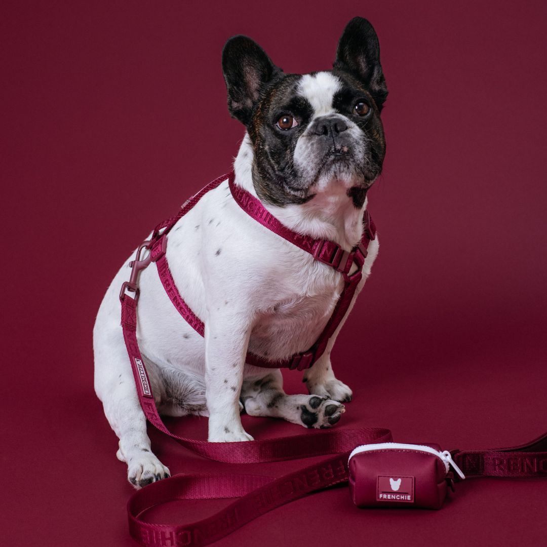 Frenchie Poo Bag Holder - Ruby from Frenchie Bulldog