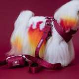 Frenchie Comfort Leash - Ruby from Frenchie Bulldog