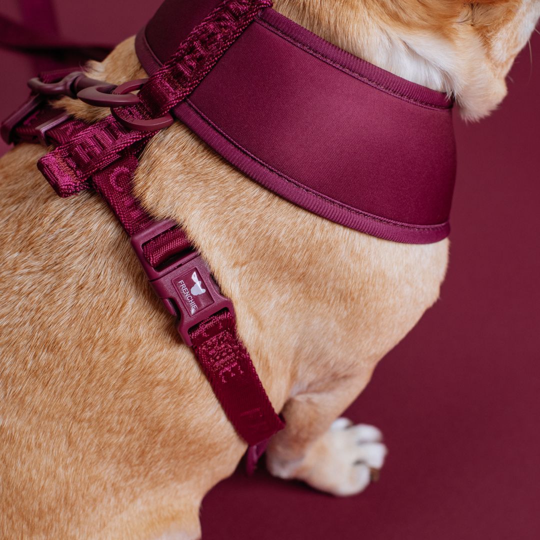 Frenchie Duo Reversible Harness - Ruby from Frenchie Bulldog