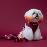 Frenchie Duo Reversible Harness - Ruby from Frenchie Bulldog