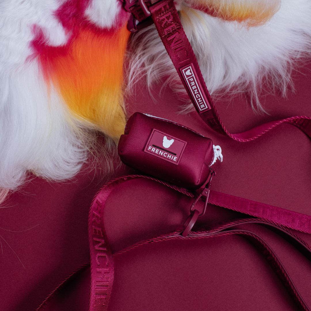 Frenchie Comfort Leash - Ruby from Frenchie Bulldog