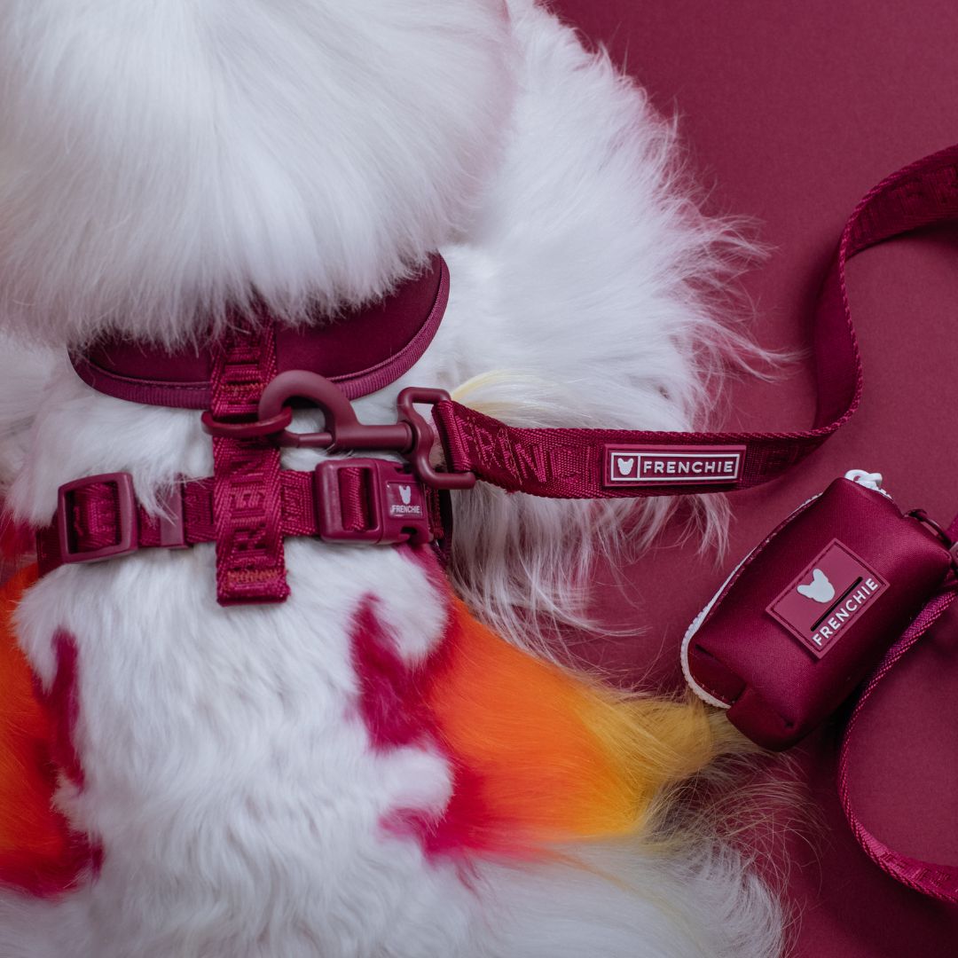 Frenchie Duo Reversible Harness - Ruby from Frenchie Bulldog