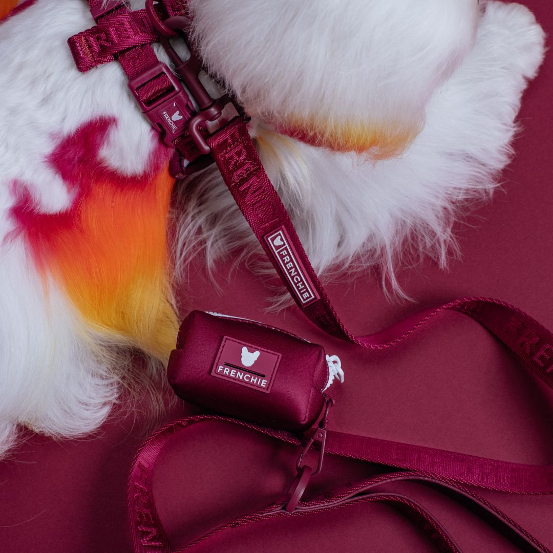 Frenchie Comfort Leash - Ruby from Frenchie Bulldog