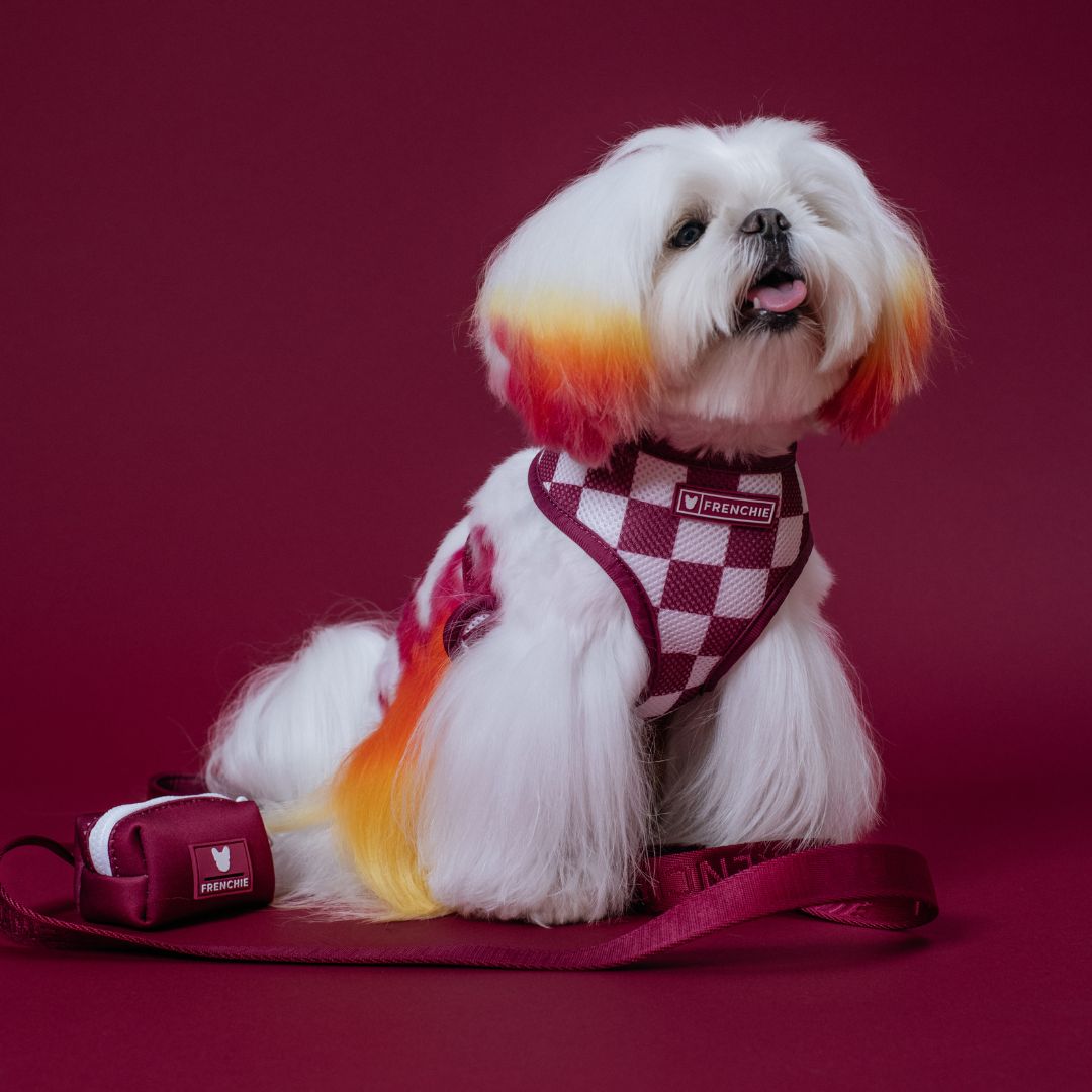 Frenchie Duo Reversible Harness - Ruby from Frenchie Bulldog