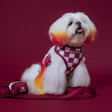Frenchie Duo Reversible Harness - Ruby from Frenchie Bulldog