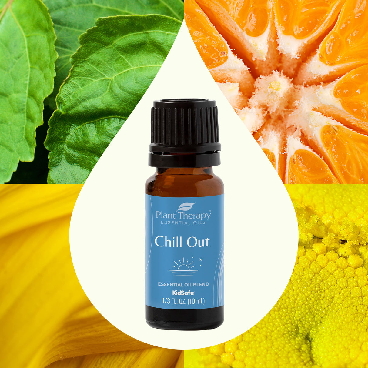 Chill Out Essential Oil Blend From Plant Therapy