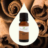 Cinnamon Bark Essential Oil From Plant Therapy