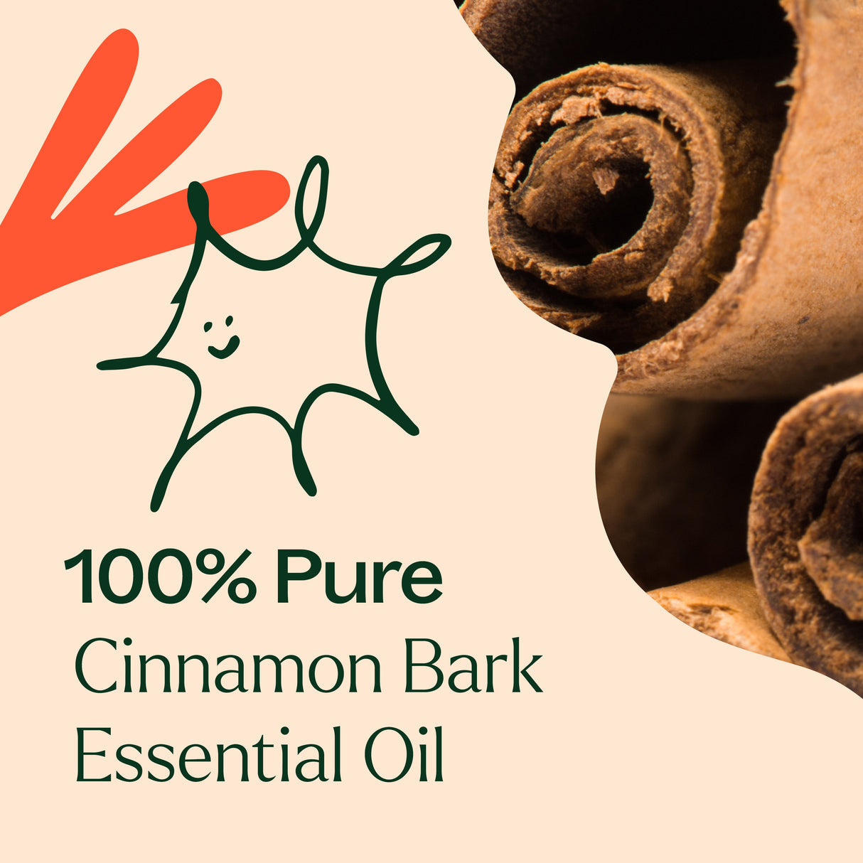 Cinnamon Bark Essential Oil From Plant Therapy