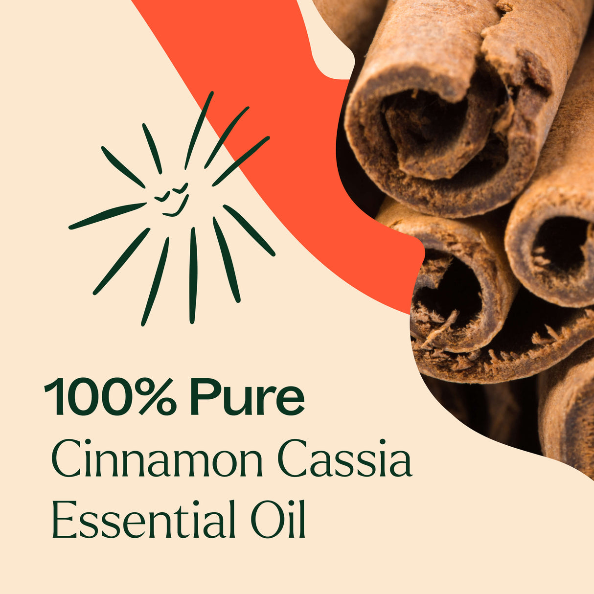 Cinnamon Cassia Essential Oil From Plant Therapy