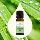 Citronella Essential Oil From Plant Therapy