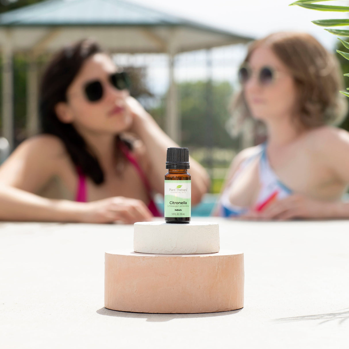 Citronella Essential Oil From Plant Therapy