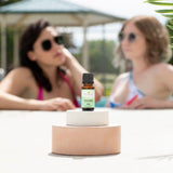 Citronella Essential Oil From Plant Therapy
