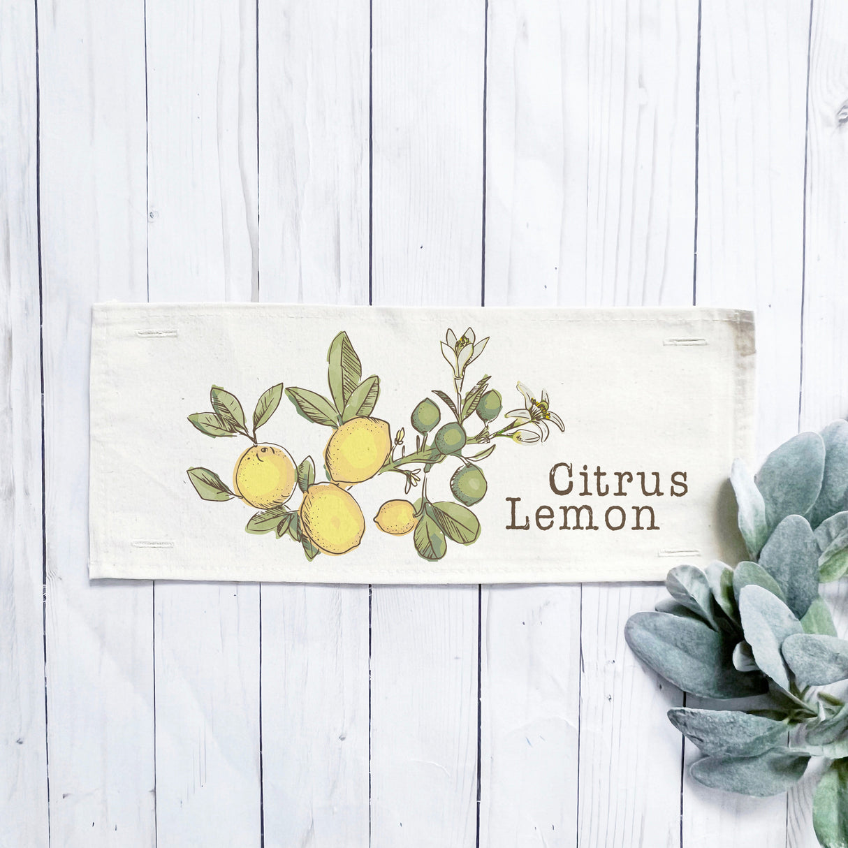 Botanical Panel: Summer, Lemonade Stand, Sweet, Summertime;  CITRUS LEMON From PillowPanels