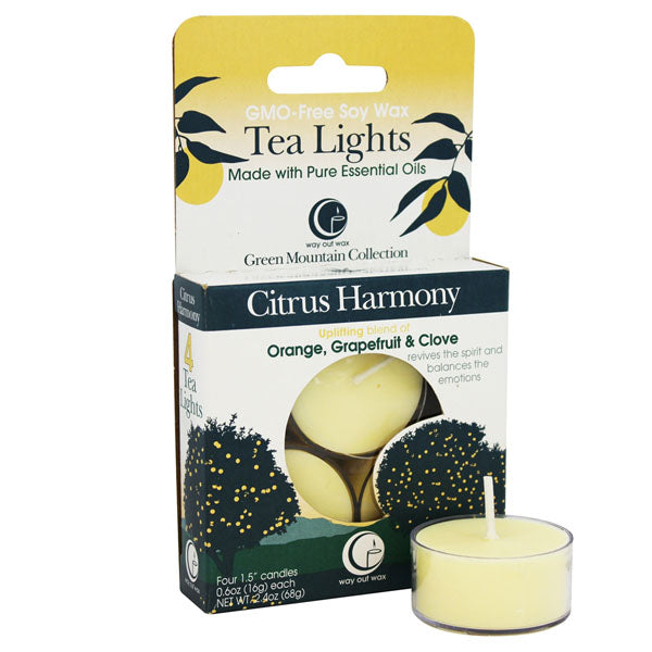 Citrus Harmony - Tealight Candle 4-pack From Way Out Wax