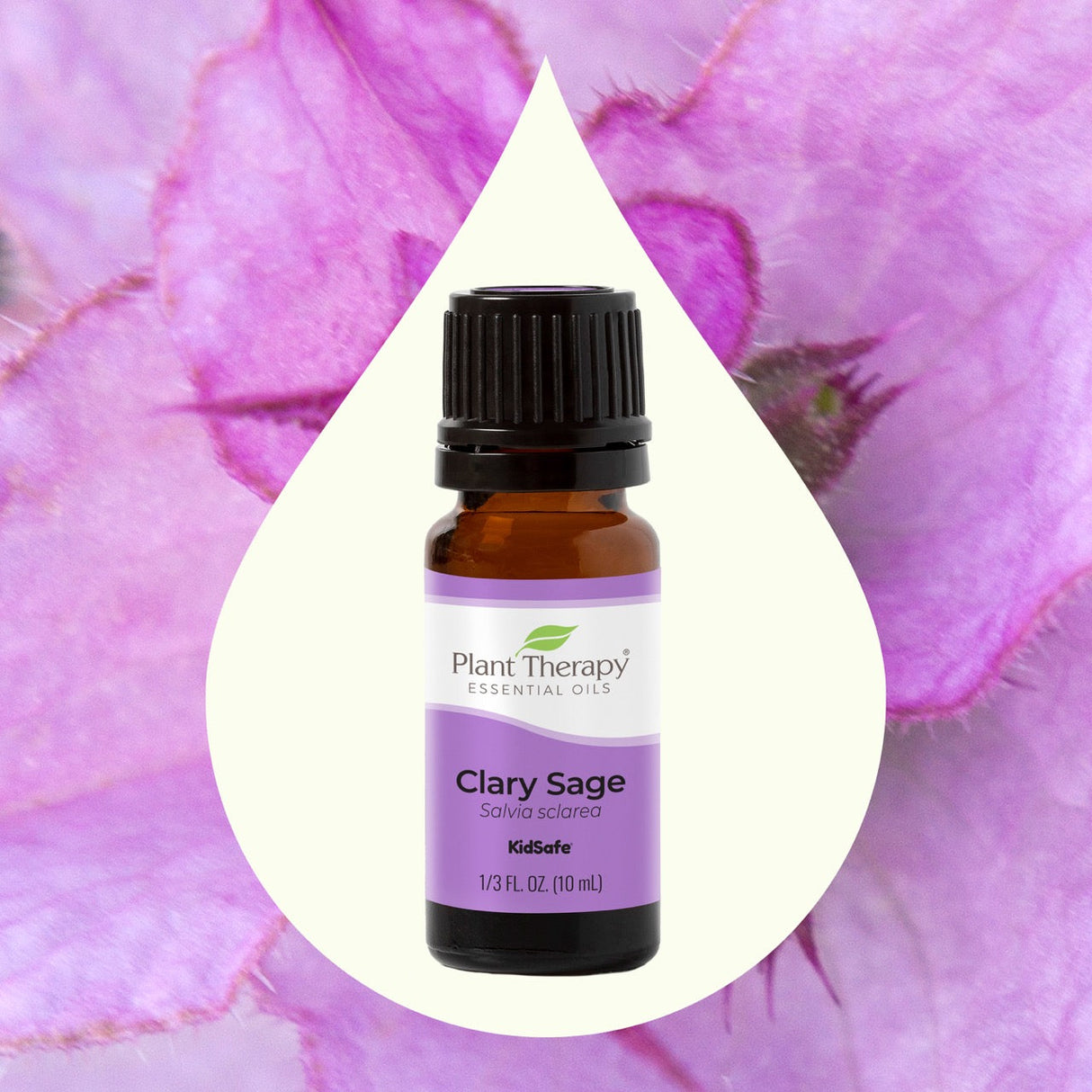 Clary Sage Essential Oil From Plant Therapy