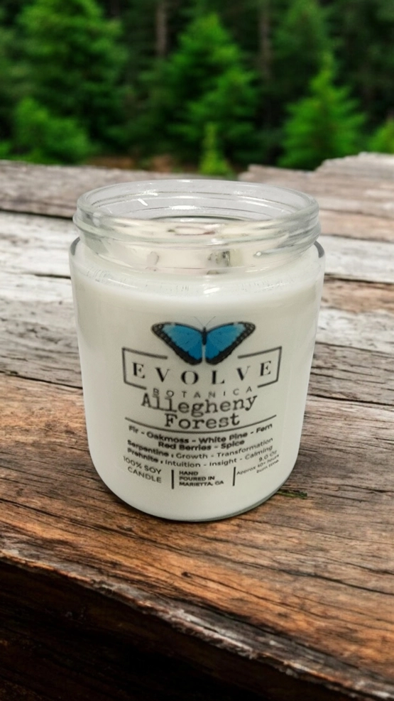 Classic 9oz Jam Jar Crystal Soy Candle - Allegheny Forest (Serpentine & Prehnite) from Evolve Botanica