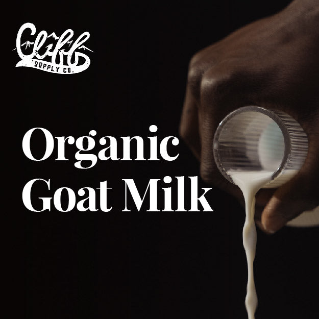 Beard Wash Brick - Mint from Cliff Supply