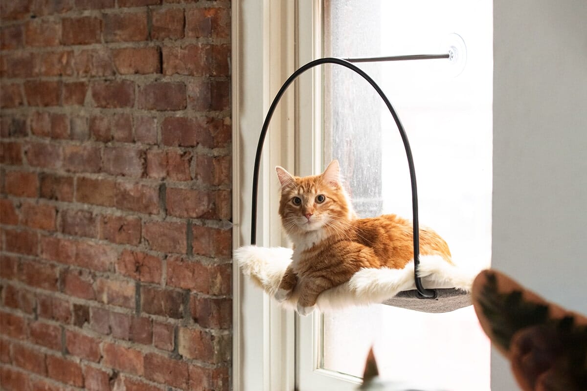 Cloud Nine Window Hammock From tuft + paw