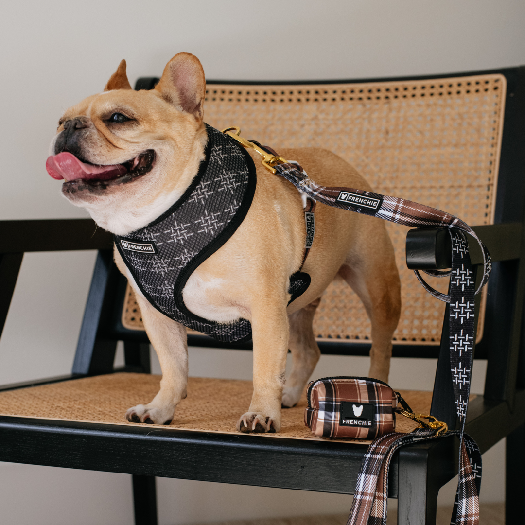 Frenchie Duo Reversible Harness - Cocoa Plaid from Frenchie Bulldog