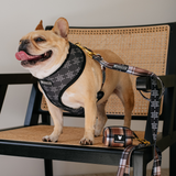 Frenchie Duo Reversible Harness - Cocoa Plaid from Frenchie Bulldog