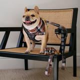 Frenchie Cooling Bandana - Cocoa Plaid from Frenchie Bulldog