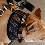 Frenchie Cooling Bandana - Cocoa Plaid from Frenchie Bulldog