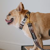 Frenchie Comfort Collar - Cocoa Plaid from Frenchie Bulldog