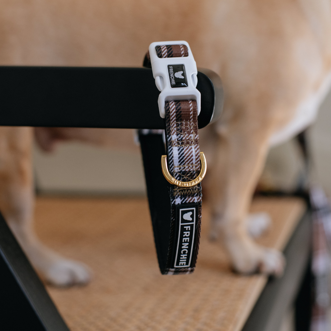 Frenchie Comfort Collar - Cocoa Plaid from Frenchie Bulldog