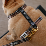 Frenchie Strap Harness - Cocoa Plaid from Frenchie Bulldog